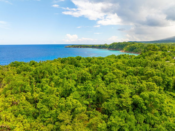 Fourth image of Black Rock in PRIESTMAN RIVER, Portland, Jamaica - property is For Sale