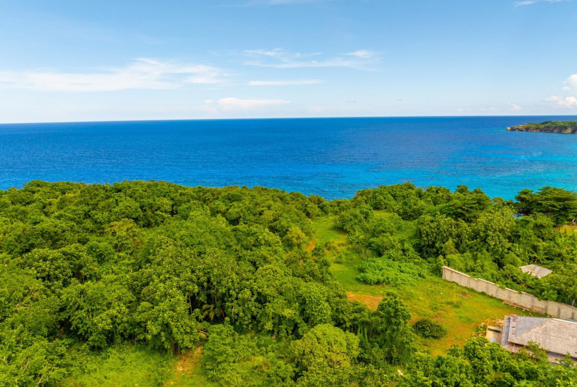 Fifth image of Black Rock in PRIESTMAN RIVER, Portland, Jamaica - property is For Sale