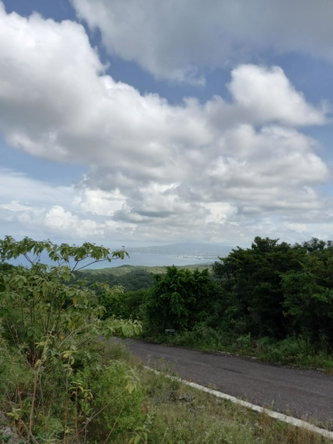 Third image of 39- Friendship Grove in Hopewell, Hanover, Jamaica - property is For Sale