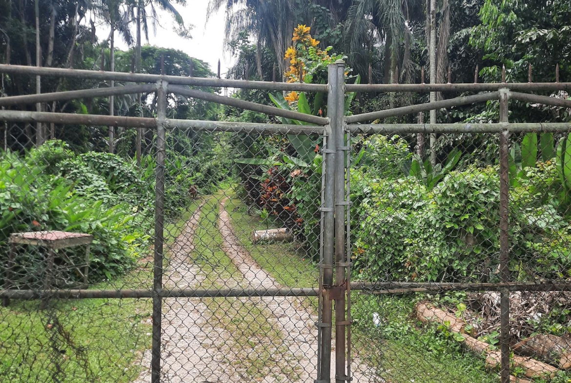 First image of Temple Hall in Temple Hall Estate, St. Andrew, Jamaica - property is For Sale
