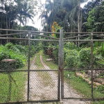 First image of Temple Hall in Temple Hall Estate, St. Andrew, Jamaica - property is For Sale