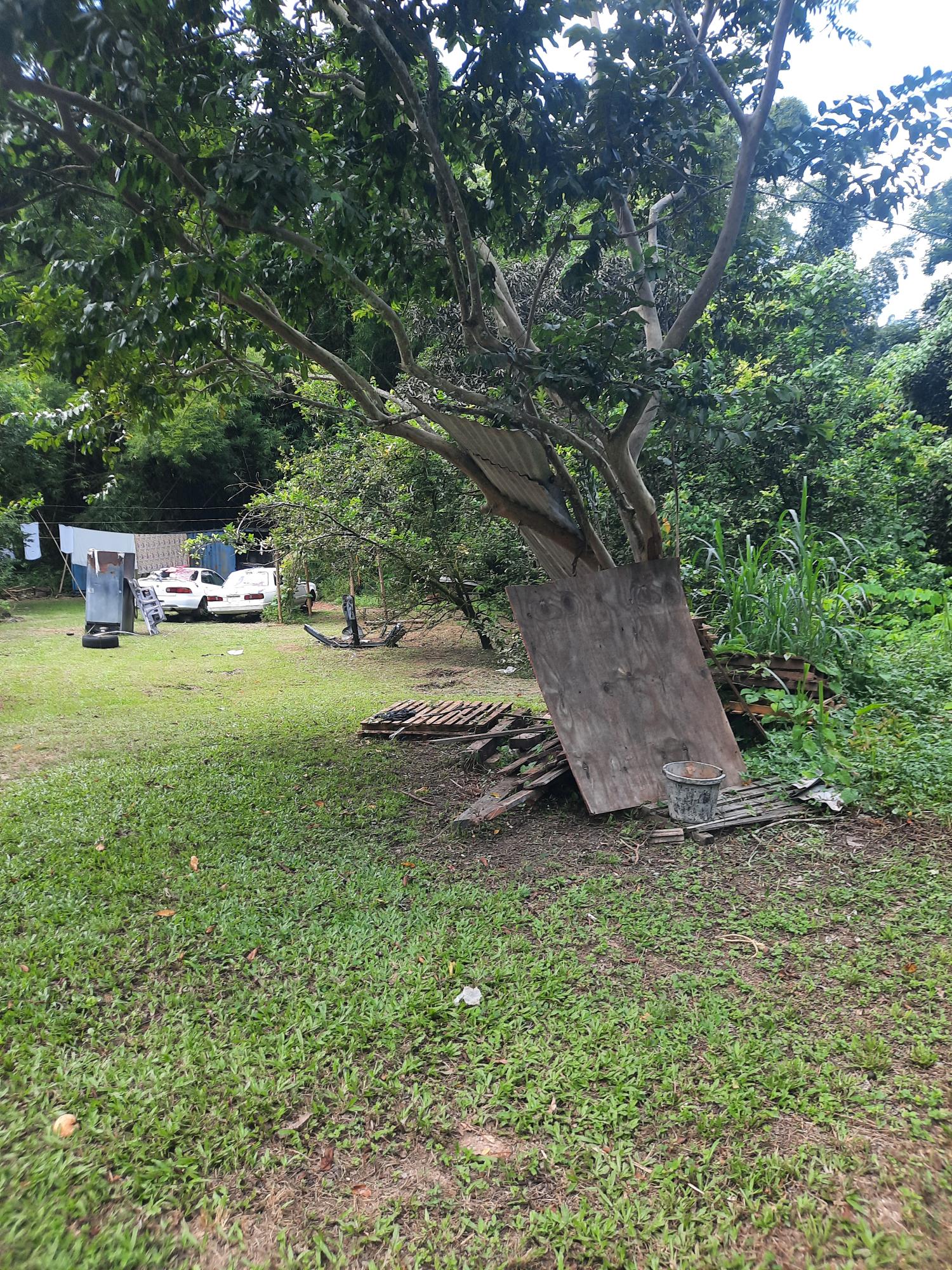 Fourth image of Temple Hall in Temple Hall Estate, St. Andrew, Jamaica - property is For Sale