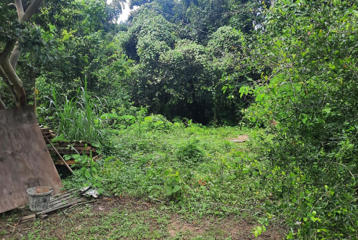 Fifth image of Temple Hall in Temple Hall Estate, St. Andrew, Jamaica - property is For Sale