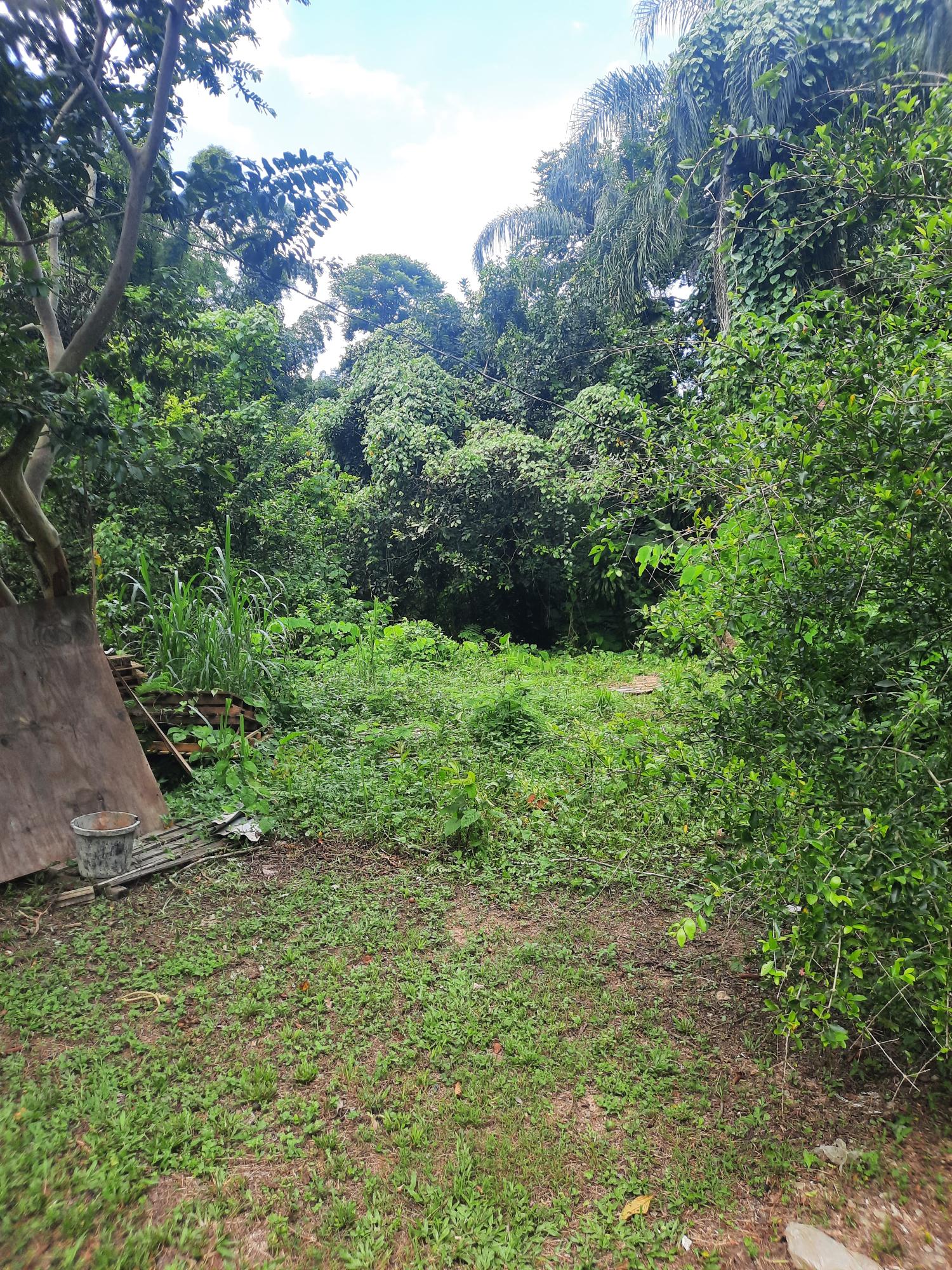 Fifth image of Temple Hall in Temple Hall Estate, St. Andrew, Jamaica - property is For Sale