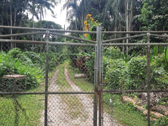 First image of Temple Hall in Temple Hall Estate, St. Andrew, Jamaica - property is For Sale