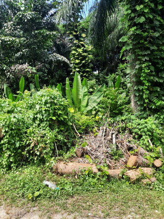 Seventh image of Temple Hall in Temple Hall Estate, St. Andrew, Jamaica - property is For Sale