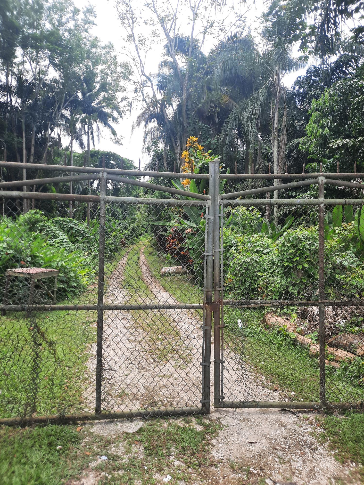 First image of Temple Hall in Temple Hall Estate, St. Andrew, Jamaica - property is For Sale