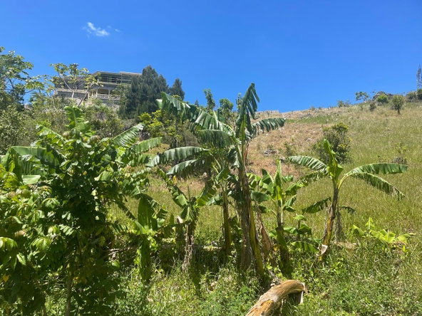 Sixth image of 24 Fairfield Mountain in Hatfield, Manchester, Jamaica - property is For Sale