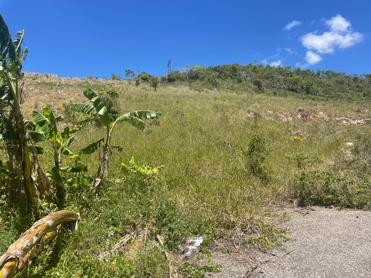 Seventh image of 24 Fairfield Mountain in Hatfield, Manchester, Jamaica - property is For Sale