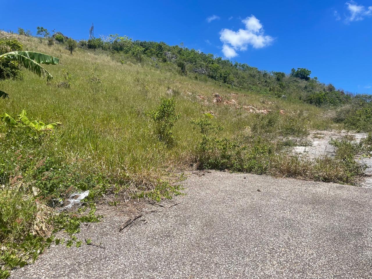 Ninth image of 24 Fairfield Mountain in Hatfield, Manchester, Jamaica - property is For Sale
