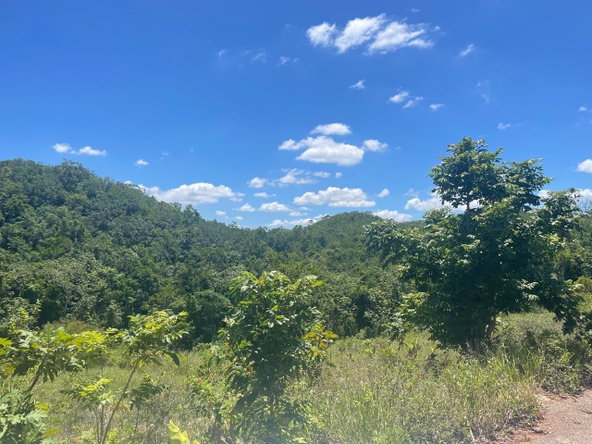 Tenth image of 24 Fairfield Mountain in Hatfield, Manchester, Jamaica - property is For Sale
