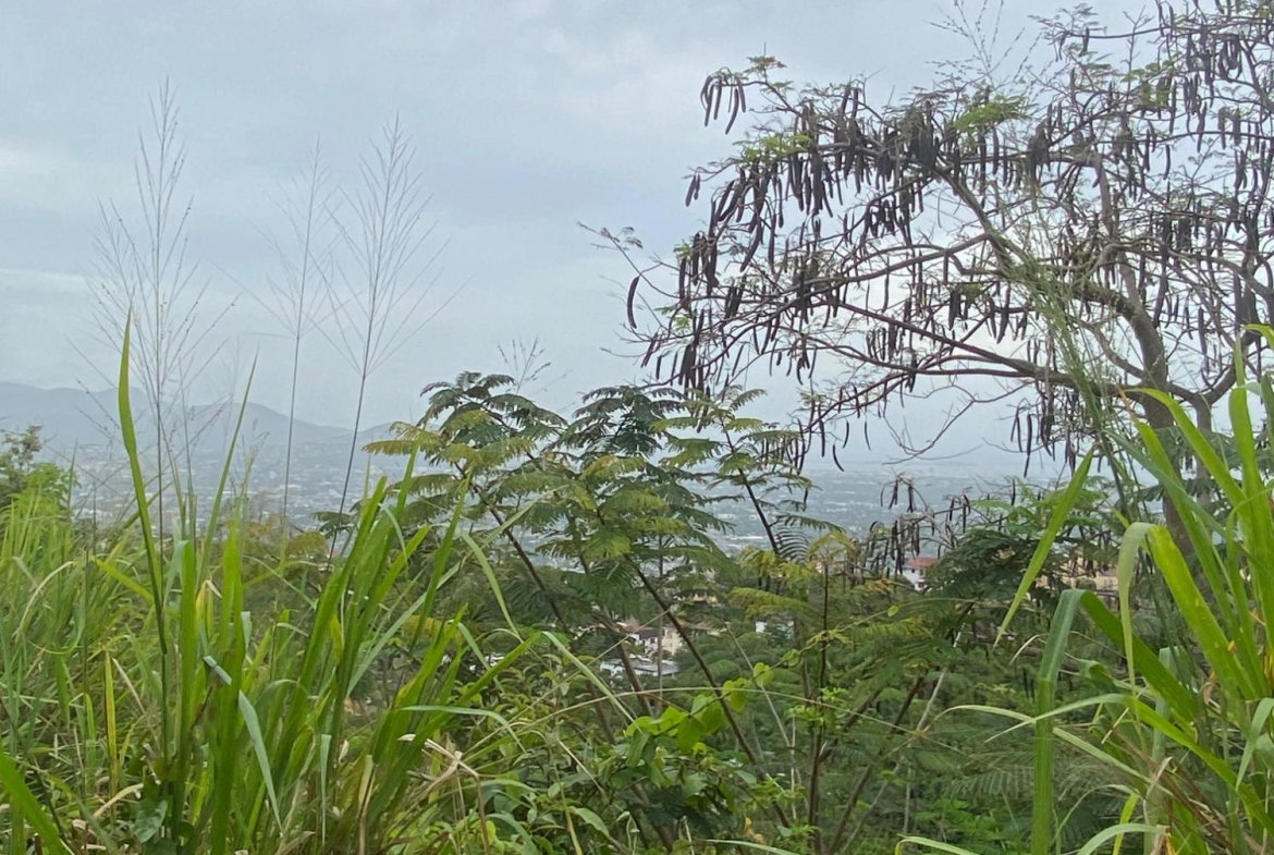 Fifth image of Lot 38 Channel View Avenue in Kingston 19, St. Andrew, Jamaica - property is For Sale
