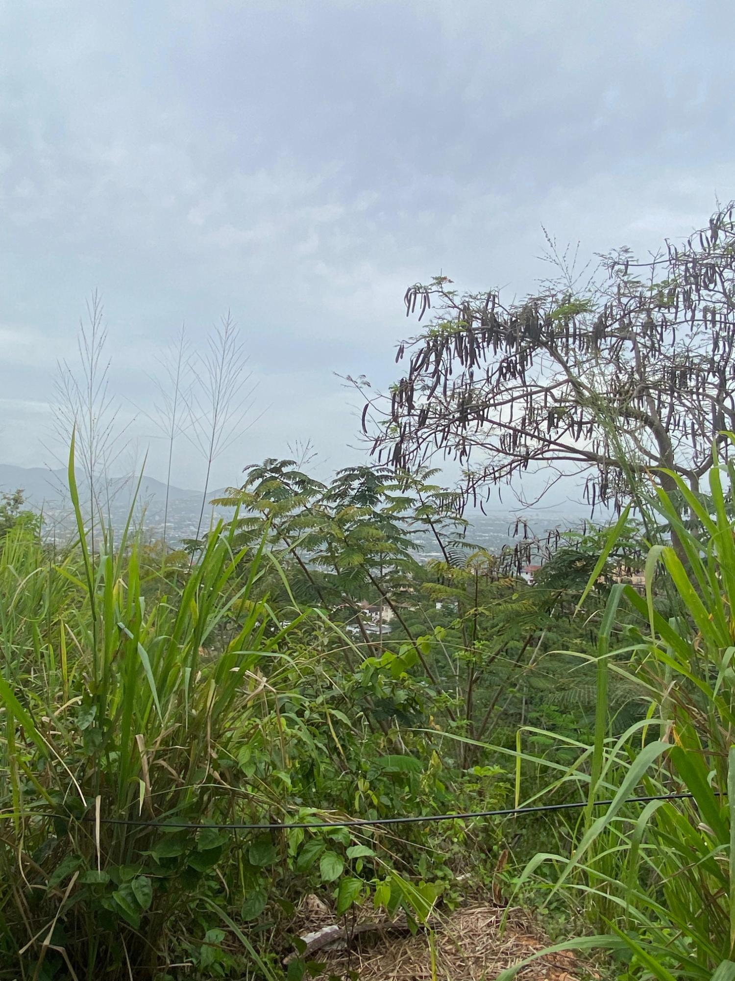 Fifth image of Lot 38 Channel View Avenue in Kingston 19, St. Andrew, Jamaica - property is For Sale