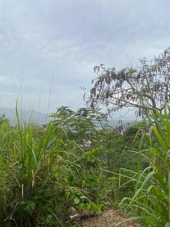 Fifth image of Lot 38 Channel View Avenue in Kingston 19, St. Andrew, Jamaica - property is For Sale