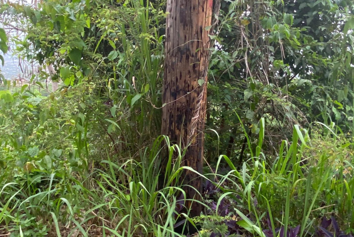 Sixth image of Lot 38 Channel View Avenue in Kingston 19, St. Andrew, Jamaica - property is For Sale