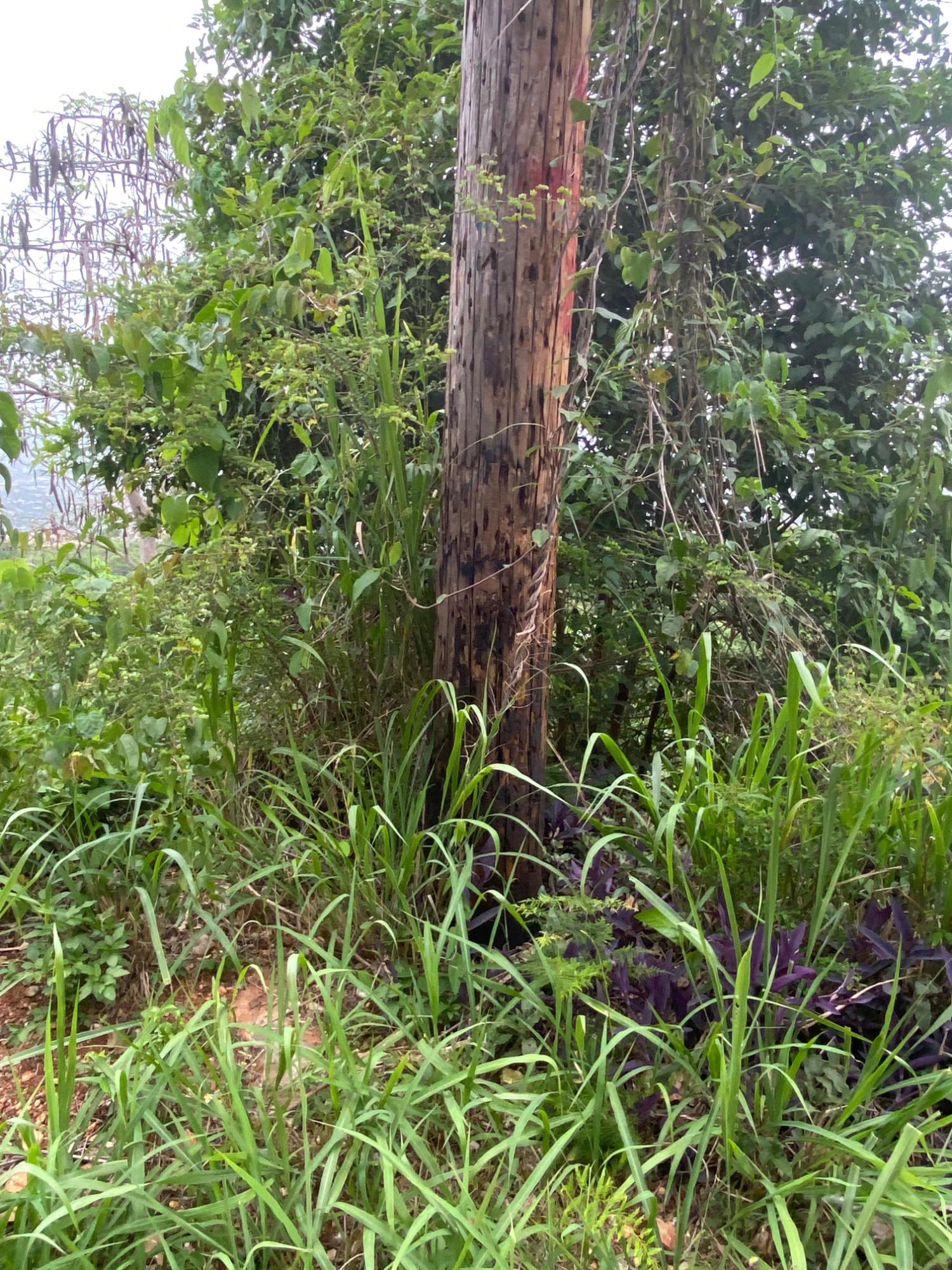 Sixth image of Lot 38 Channel View Avenue in Kingston 19, St. Andrew, Jamaica - property is For Sale