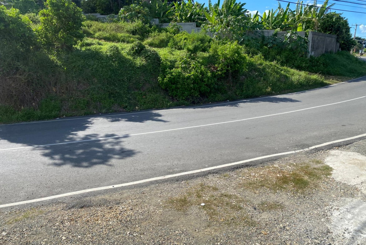 Second image of Hectors River in Hectors River, Portland, Jamaica - property is For Sale