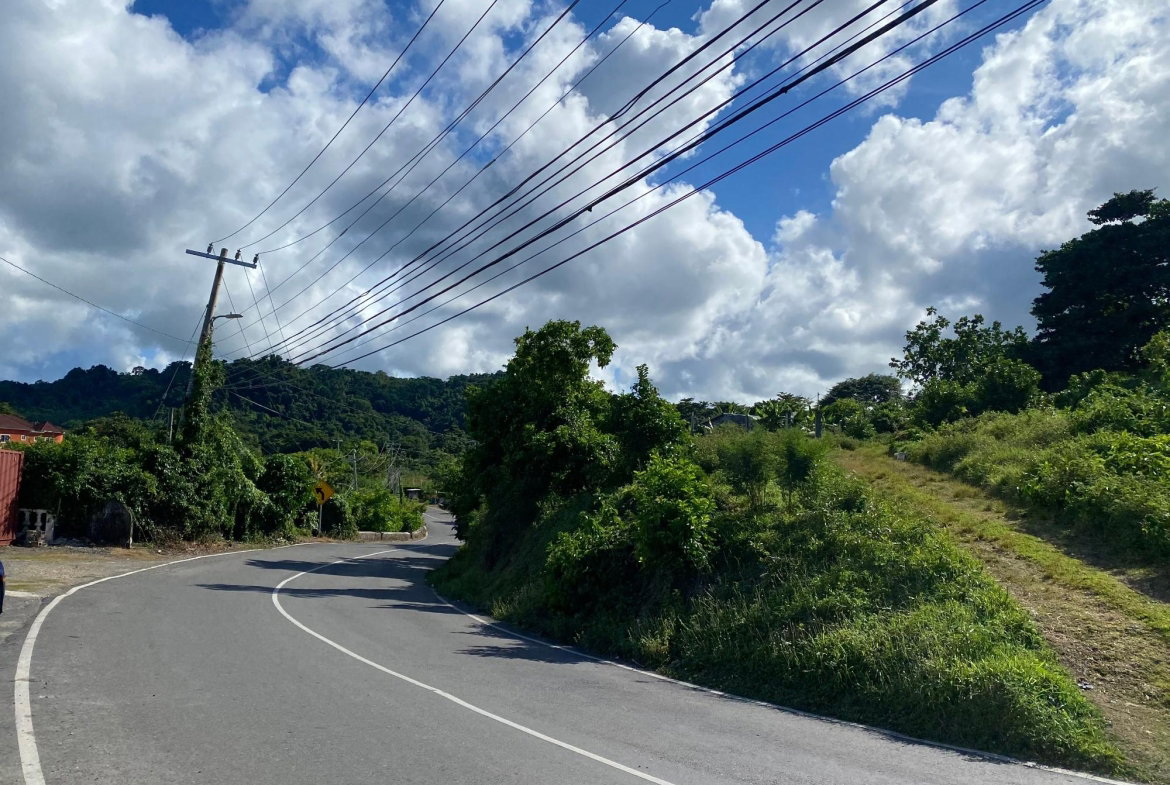 Eleventh image of Hectors River in Hectors River, Portland, Jamaica - property is For Sale