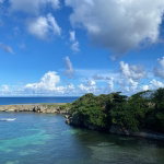 First image of Hectors River in Hectors River, Portland, Jamaica - property is For Sale