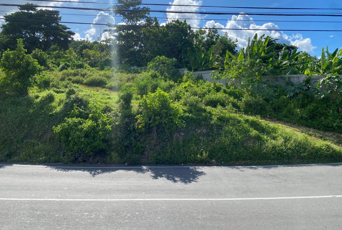 Third image of Hectors River in Hectors River, Portland, Jamaica - property is For Sale