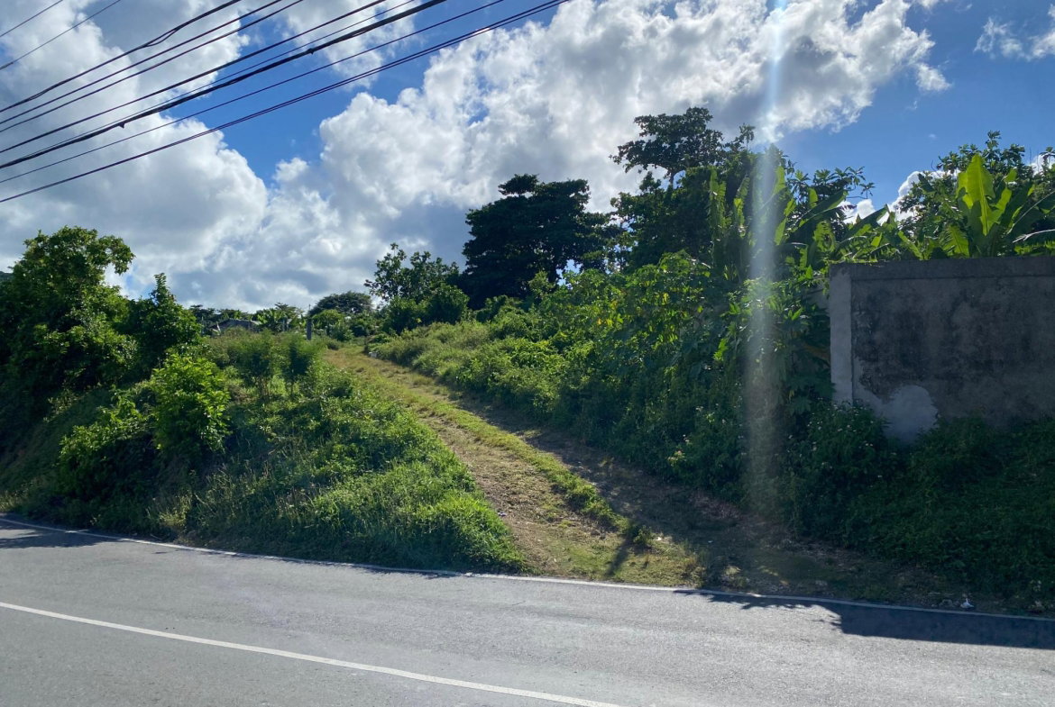Fourth image of Hectors River in Hectors River, Portland, Jamaica - property is For Sale