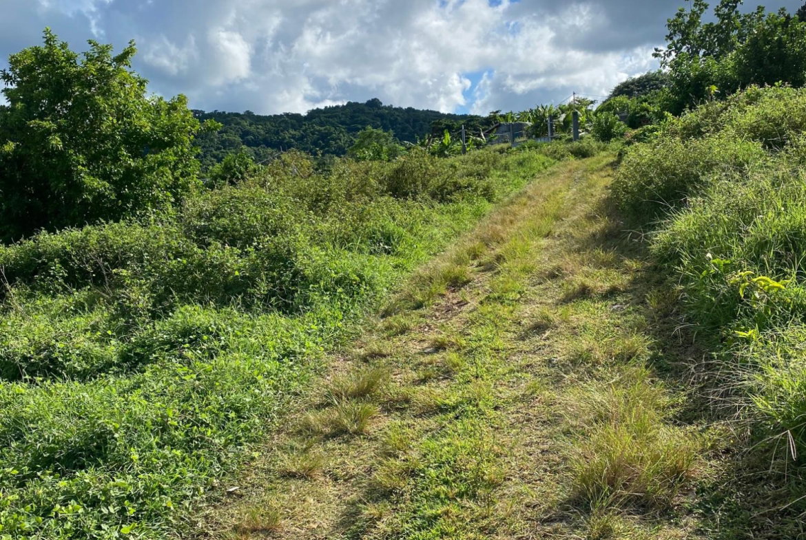 Fifth image of Hectors River in Hectors River, Portland, Jamaica - property is For Sale