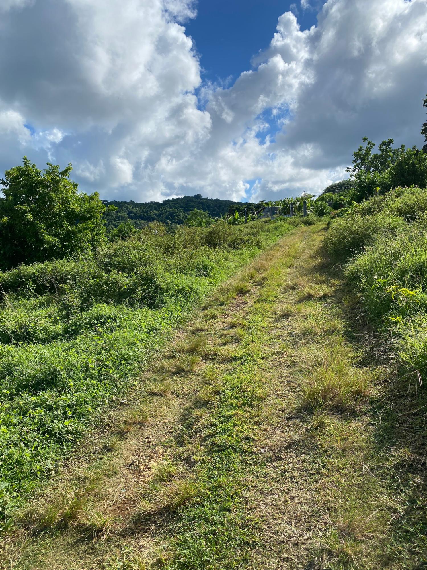 Fifth image of Hectors River in Hectors River, Portland, Jamaica - property is For Sale