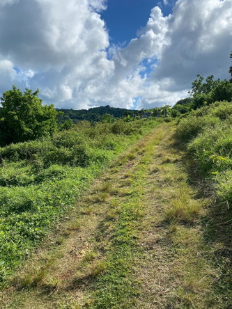 Fifth image of Hectors River in Hectors River, Portland, Jamaica - property is For Sale