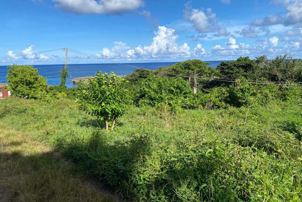 Sixth image of Hectors River in Hectors River, Portland, Jamaica - property is For Sale