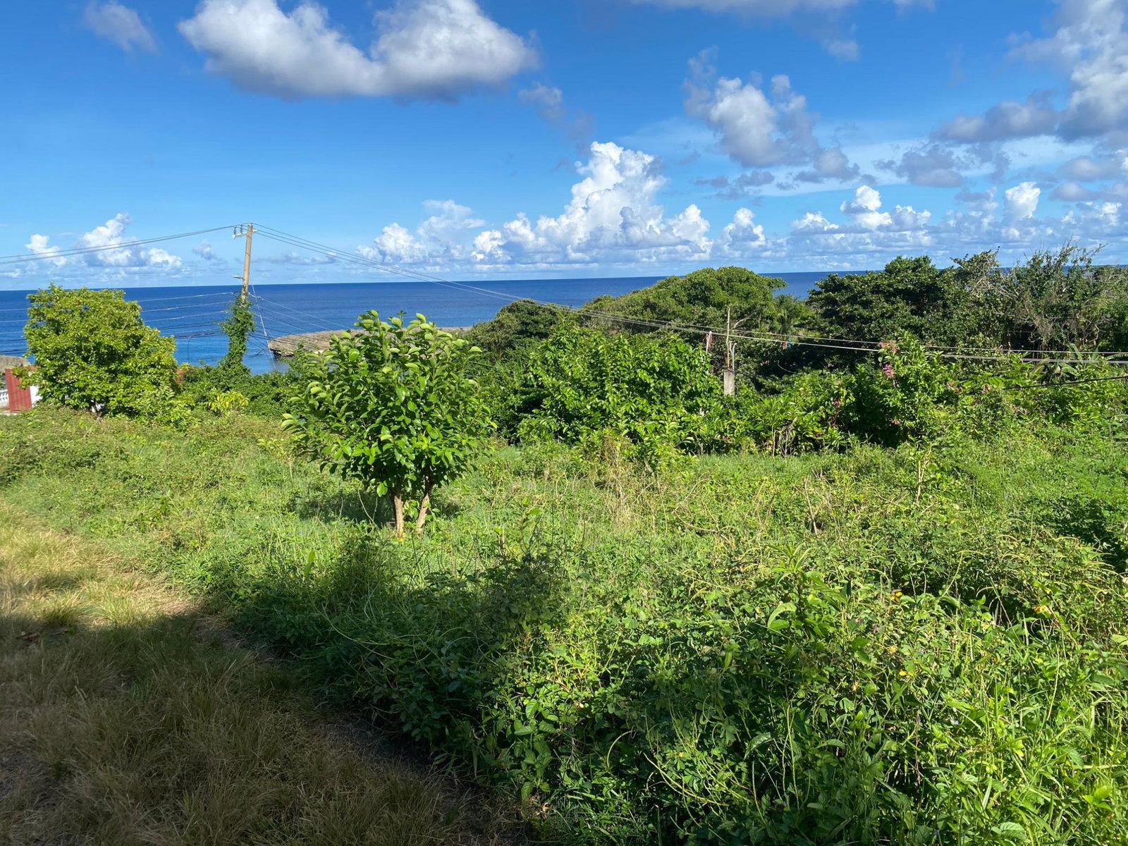 Sixth image of Hectors River in Hectors River, Portland, Jamaica - property is For Sale