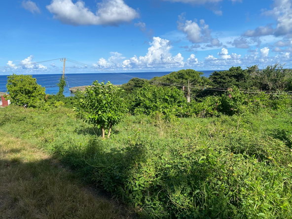 Sixth image of Hectors River in Hectors River, Portland, Jamaica - property is For Sale