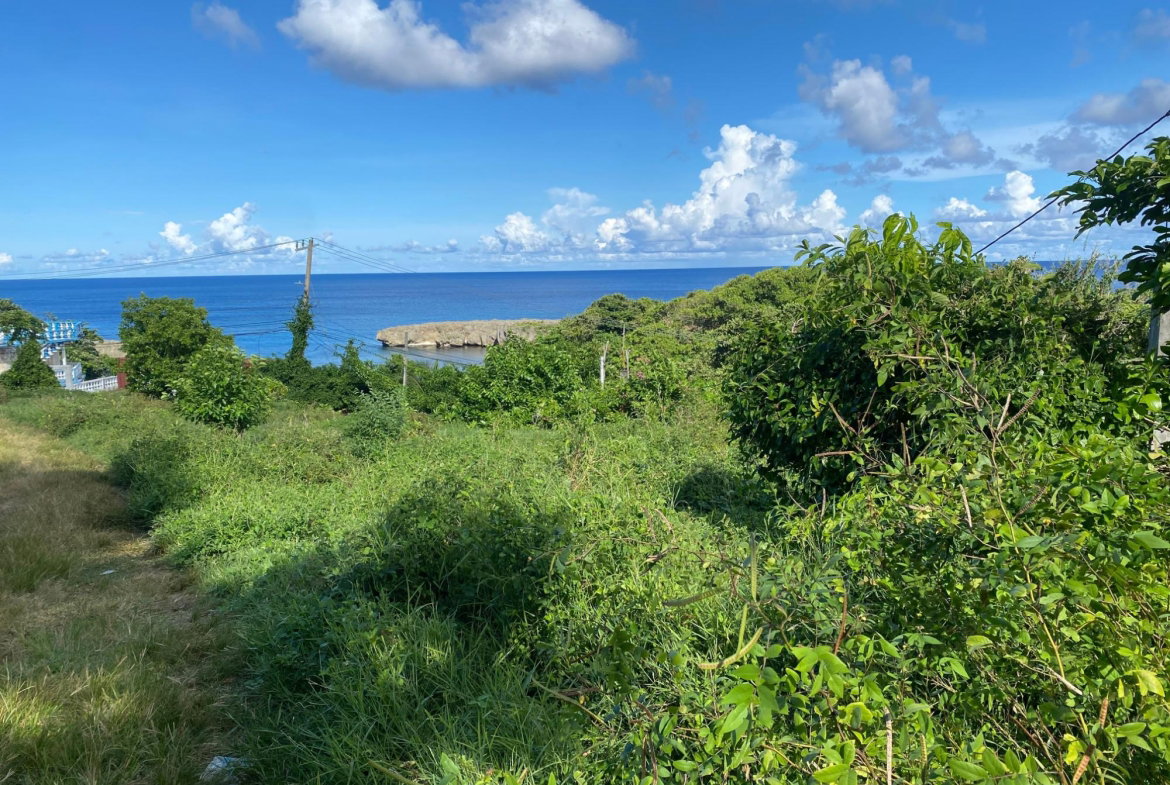 Seventh image of Hectors River in Hectors River, Portland, Jamaica - property is For Sale