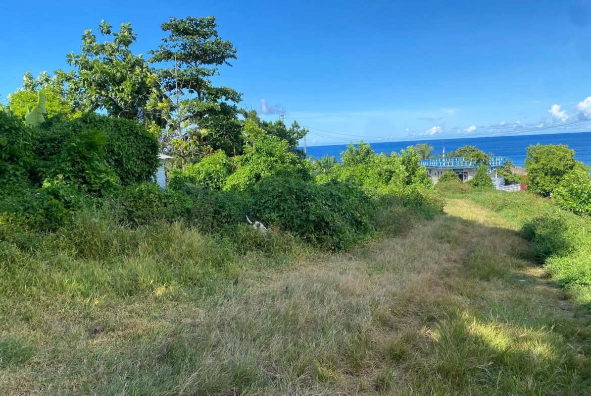 Eighth image of Hectors River in Hectors River, Portland, Jamaica - property is For Sale
