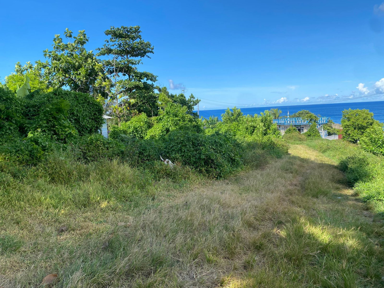 Eighth image of Hectors River in Hectors River, Portland, Jamaica - property is For Sale