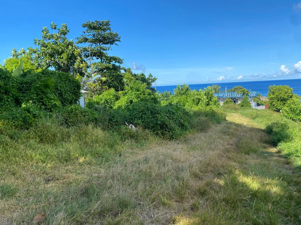 Eighth image of Hectors River in Hectors River, Portland, Jamaica - property is For Sale