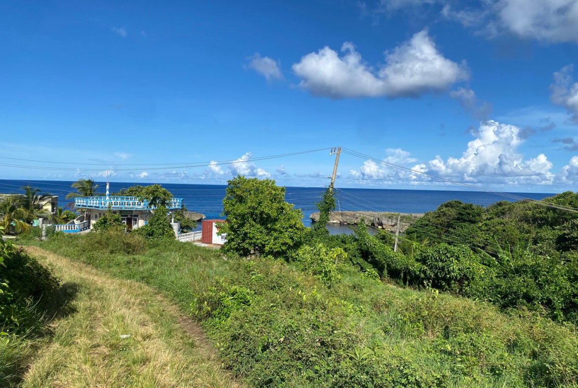 Tenth image of Hectors River in Hectors River, Portland, Jamaica - property is For Sale