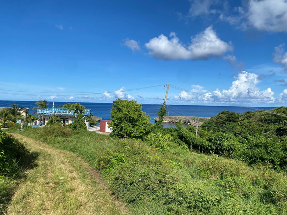 Tenth image of Hectors River in Hectors River, Portland, Jamaica - property is For Sale