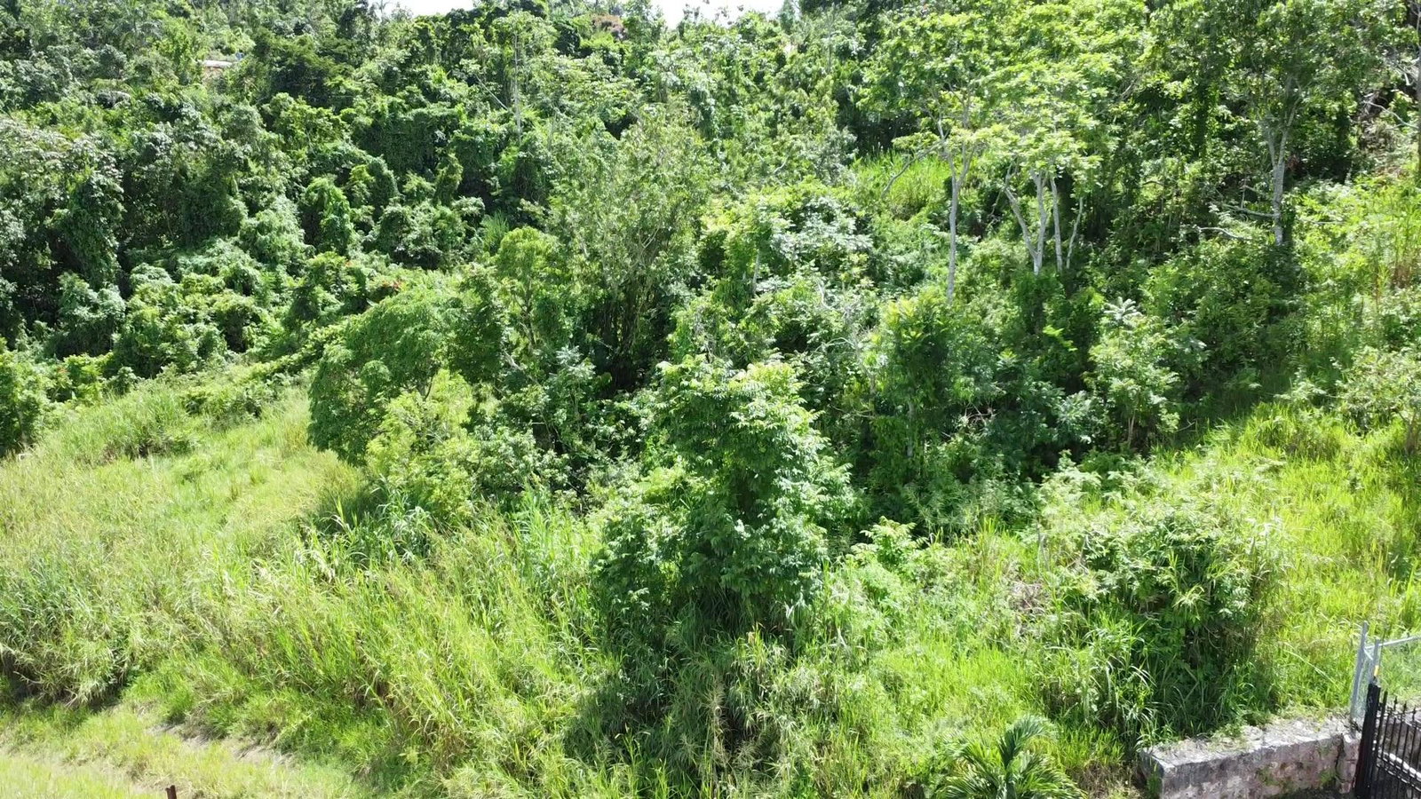 Fifth image of 88 Balvenie Heights in Mandeville, Manchester, Jamaica - property is For Sale