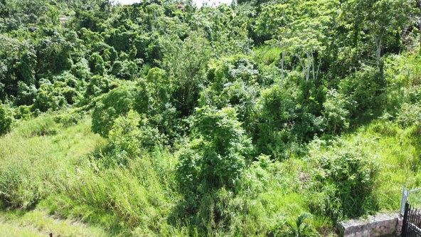 Fifth image of 88 Balvenie Heights in Mandeville, Manchester, Jamaica - property is For Sale