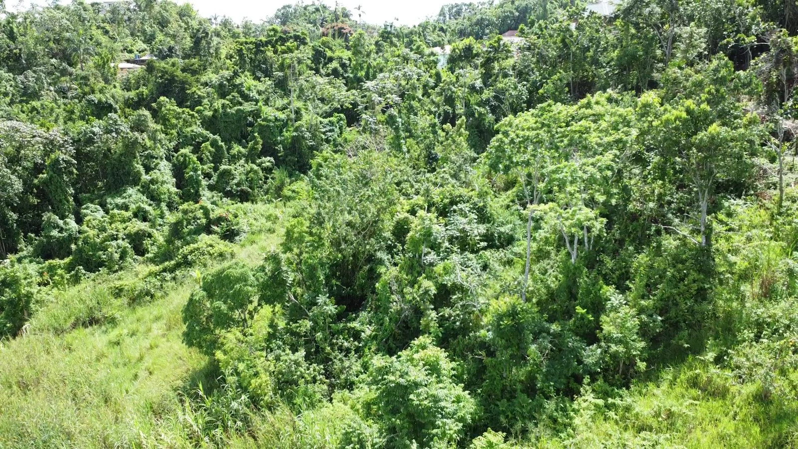 Sixth image of 88 Balvenie Heights in Mandeville, Manchester, Jamaica - property is For Sale