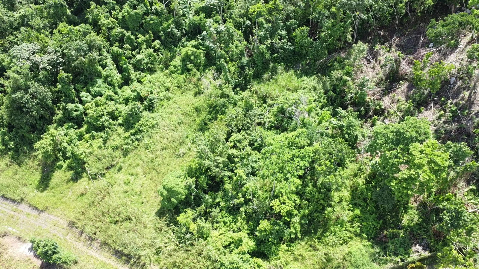 Seventh image of 88 Balvenie Heights in Mandeville, Manchester, Jamaica - property is For Sale