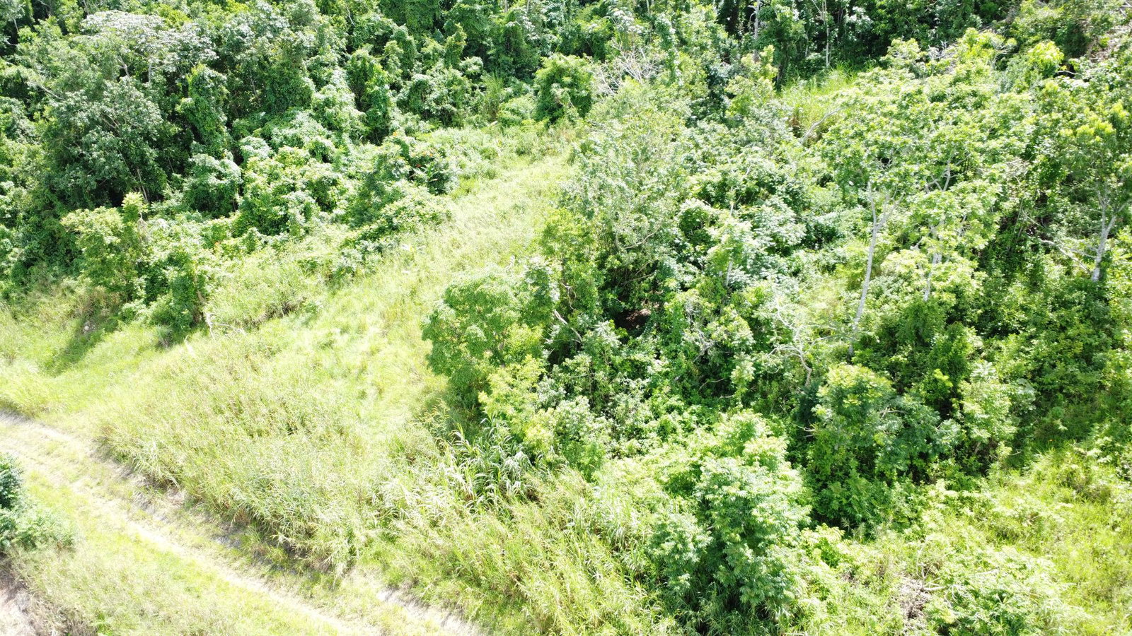 Eighth image of 88 Balvenie Heights in Mandeville, Manchester, Jamaica - property is For Sale