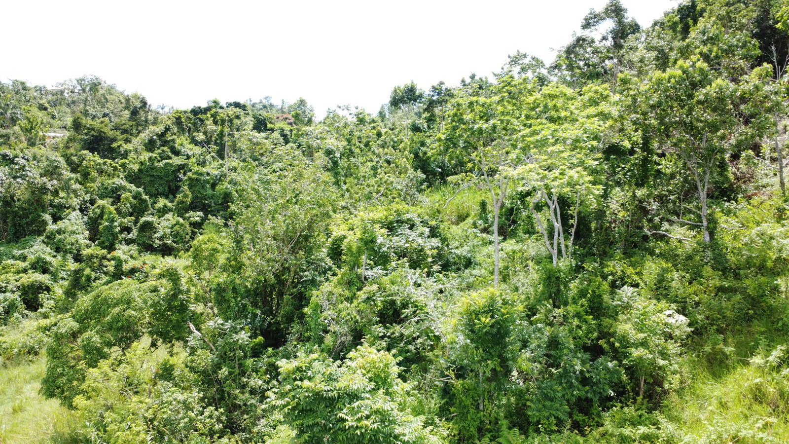 Ninth image of 88 Balvenie Heights in Mandeville, Manchester, Jamaica - property is For Sale