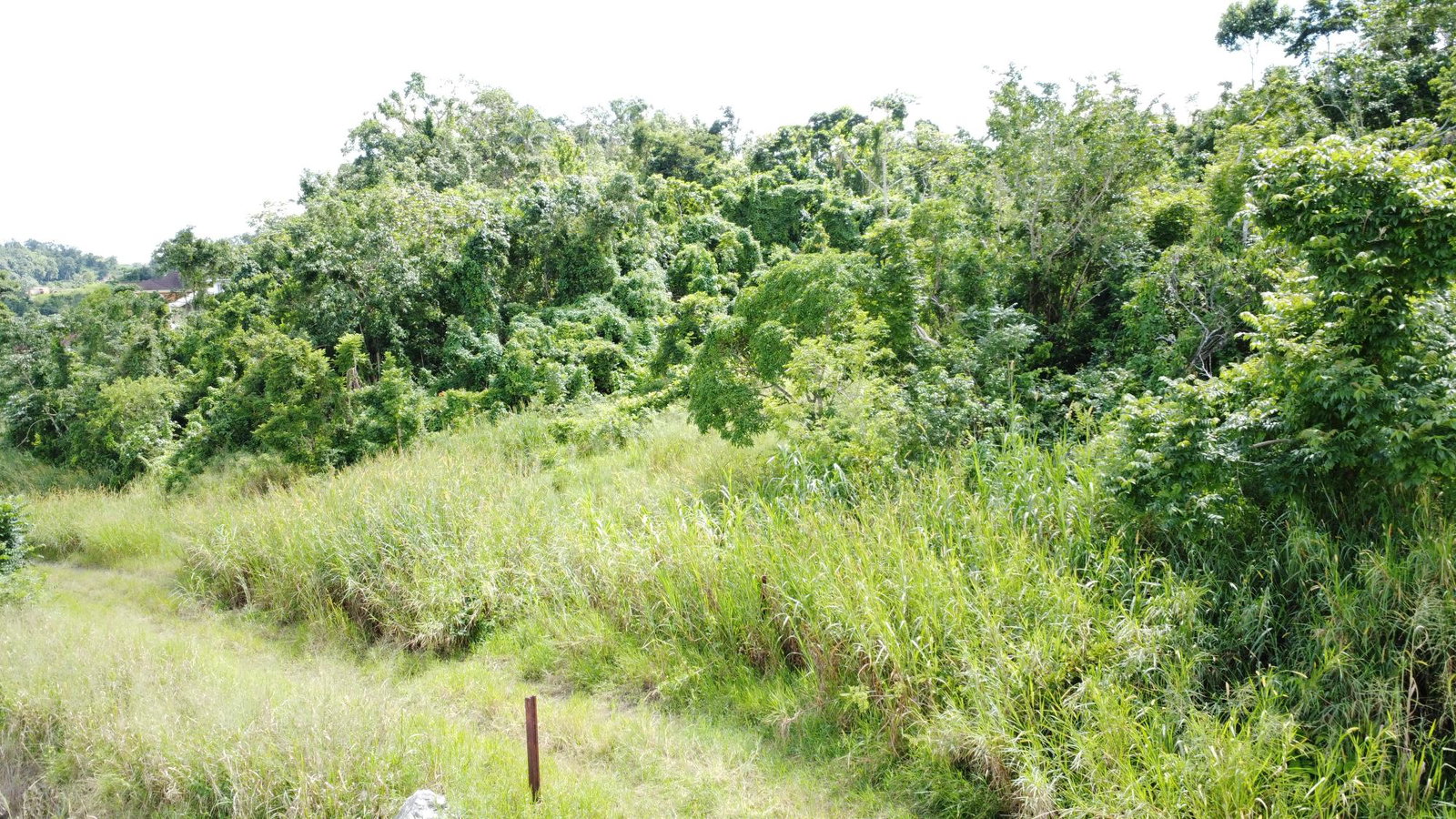 Tenth image of 88 Balvenie Heights in Mandeville, Manchester, Jamaica - property is For Sale