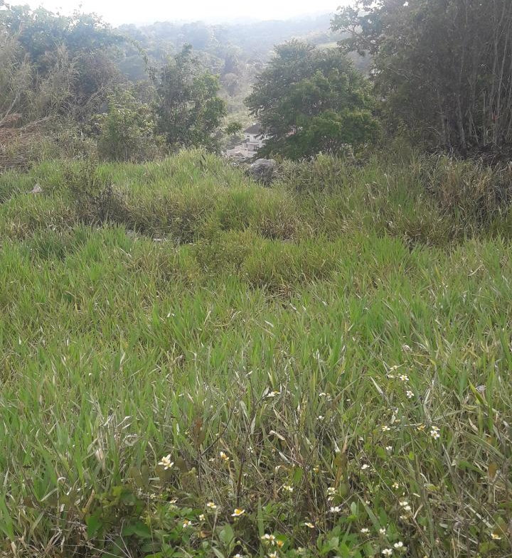 Third image of 72- Church Grove in Mandeville, Manchester, Jamaica - property is For Sale