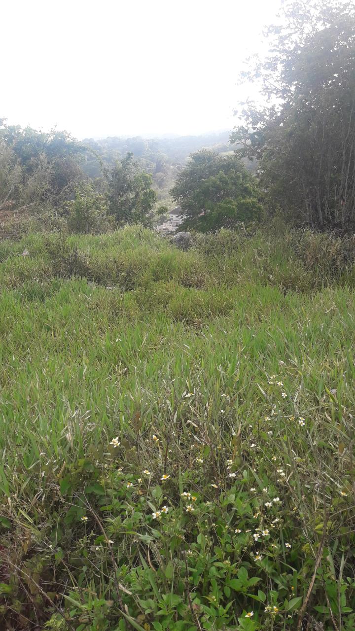Stunning-Residential-Lot-for-Sale-in-Mandeville-Jamaica-72-Church-Grove Third image of 72- Church Grove in Mandeville, Manchester, Jamaica - property is For Sale