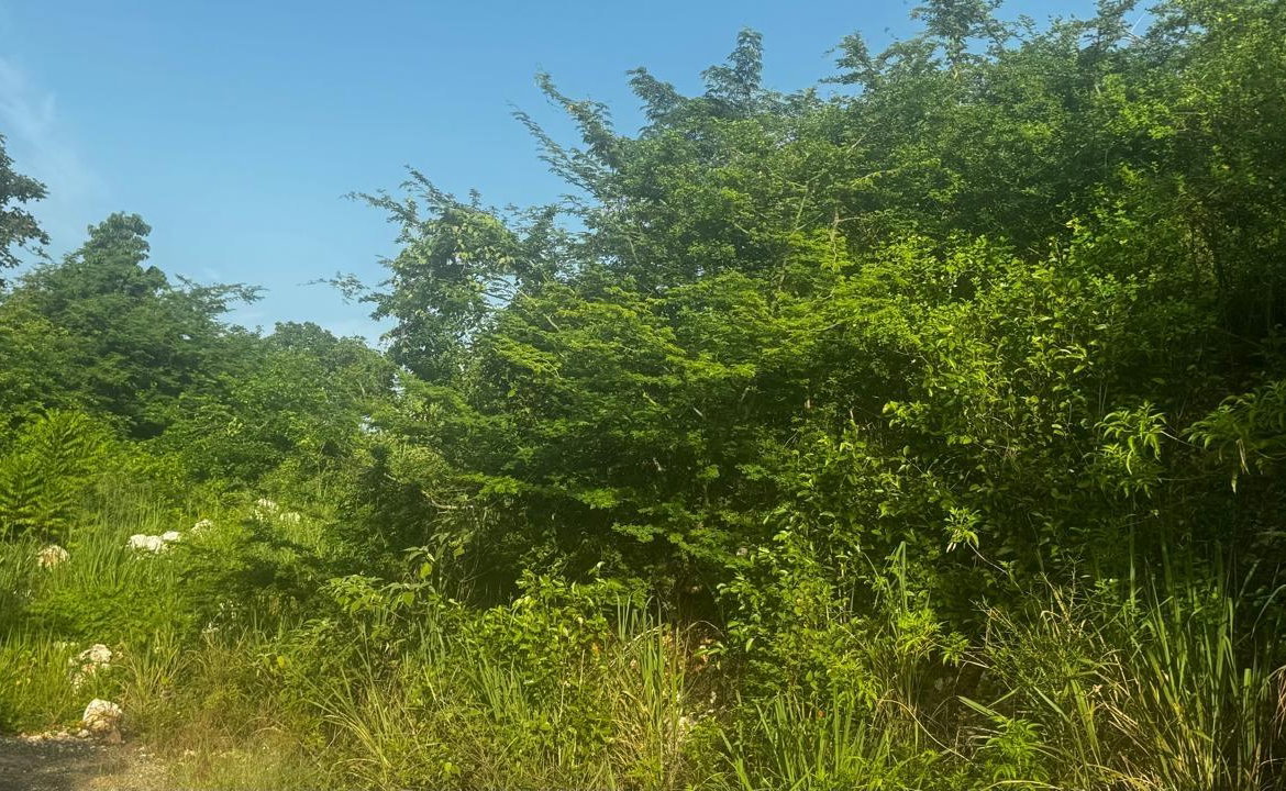 Fifth image of Lot 19- Pleasant Avenue, Pleasant in Kingston 19, St. Andrew, Jamaica - property is For Sale