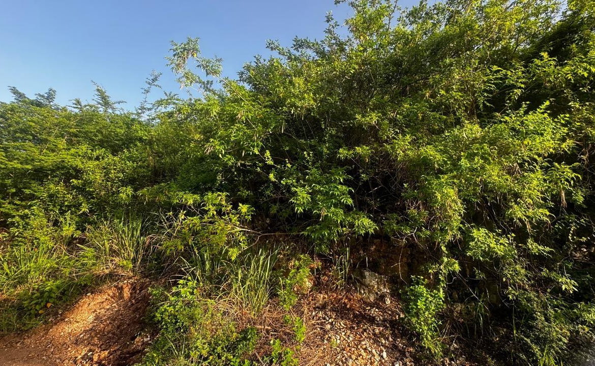 Sixth image of Lot 19- Pleasant Avenue, Pleasant in Kingston 19, St. Andrew, Jamaica - property is For Sale