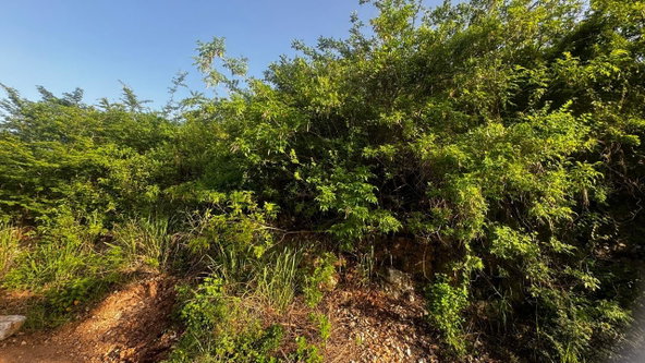 Sixth image of Lot 19- Pleasant Avenue, Pleasant in Kingston 19, St. Andrew, Jamaica - property is For Sale