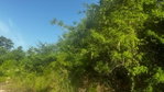 First image of Lot 19- Pleasant Avenue, Pleasant in Kingston 19, St. Andrew, Jamaica - property is For Sale